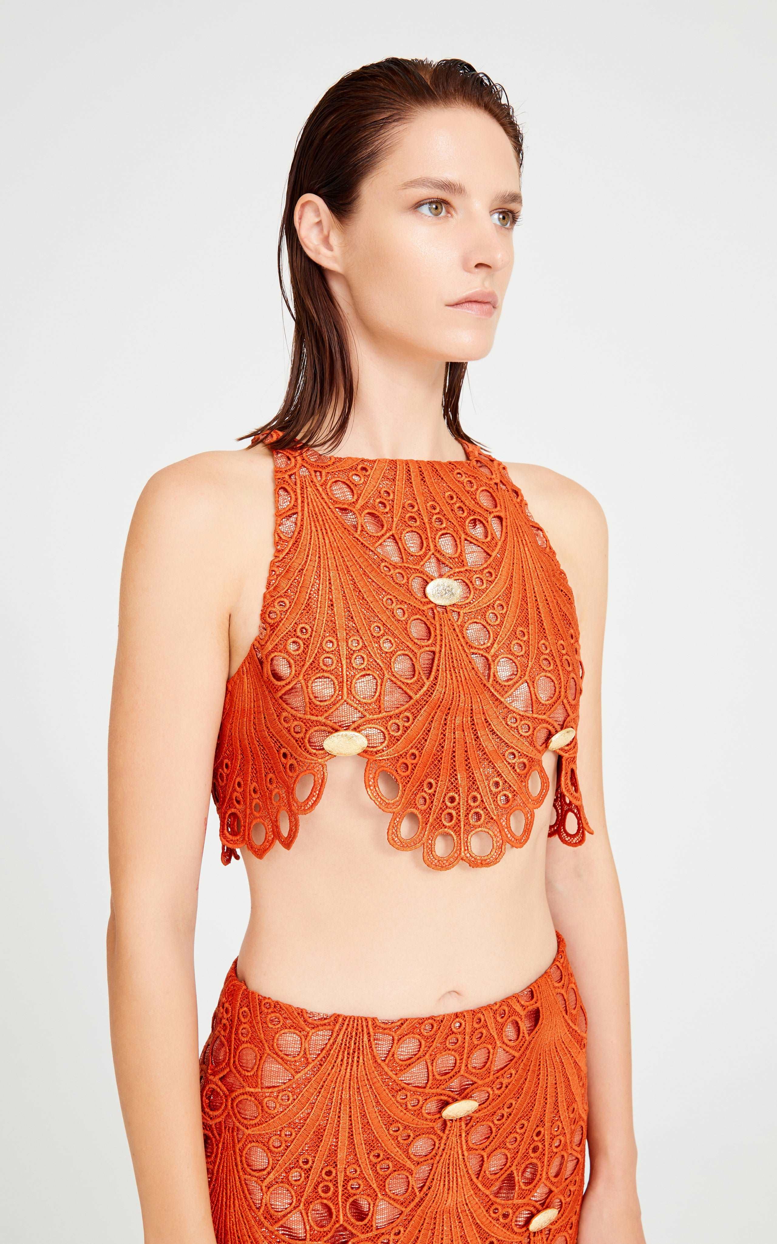 Brick Lace Crop Top With Gold Accessory Details