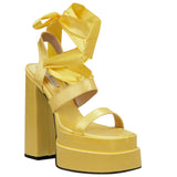 Strappy High Heeled Shoes