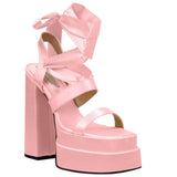 Strappy High Heeled Shoes