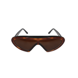 RV Sunglasses