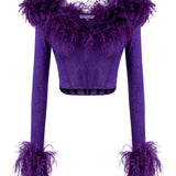 Glittered Knit Corset Top With Feather Details