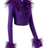 Glittered Knit Corset Top With Feather Details