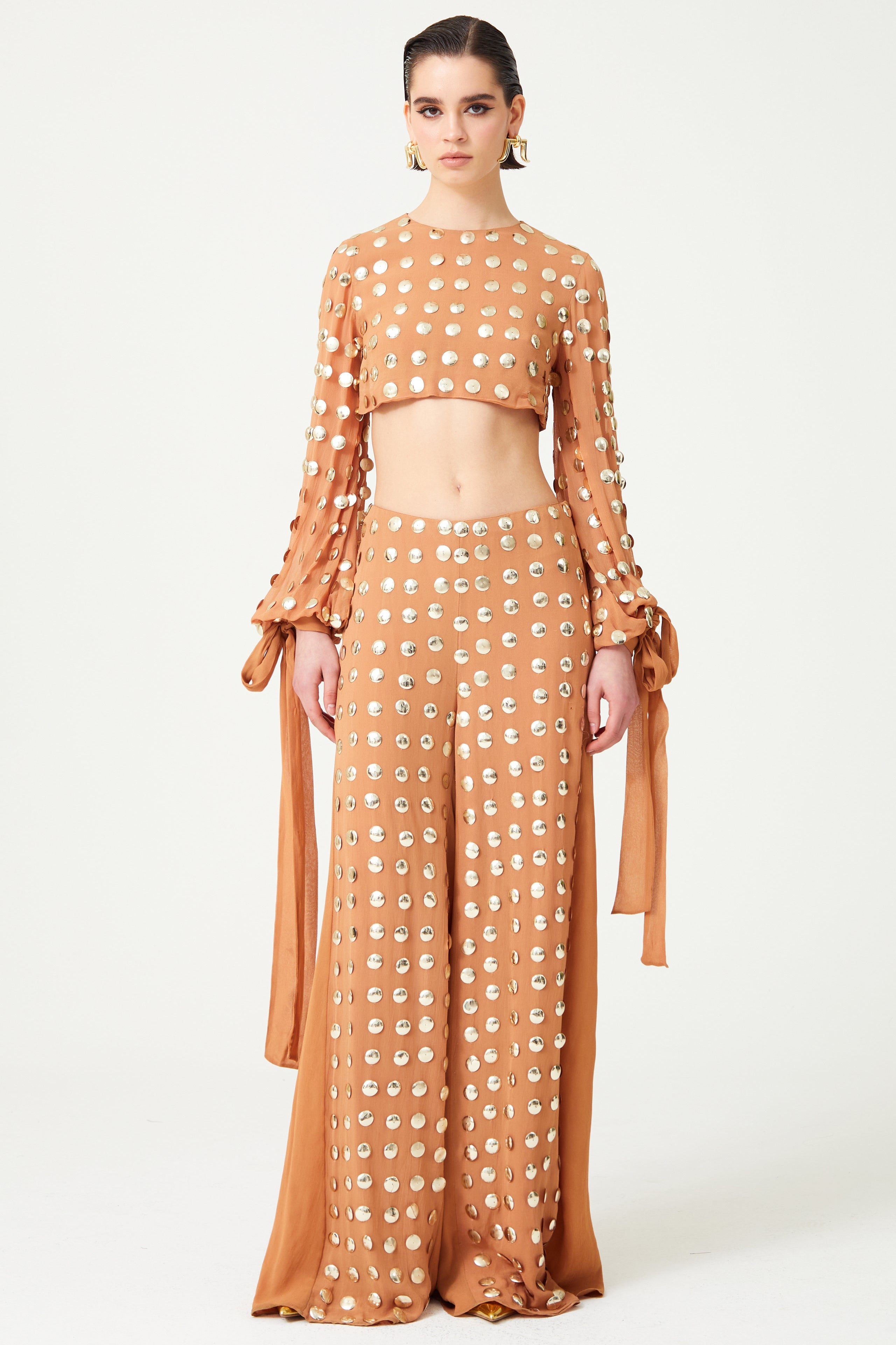 FW24-T-1005-Beige-34 raisa_vanessa beige-handmade-gold-polka-dot-detailed-silk-chiffon-crop-top-with-long-sleeves