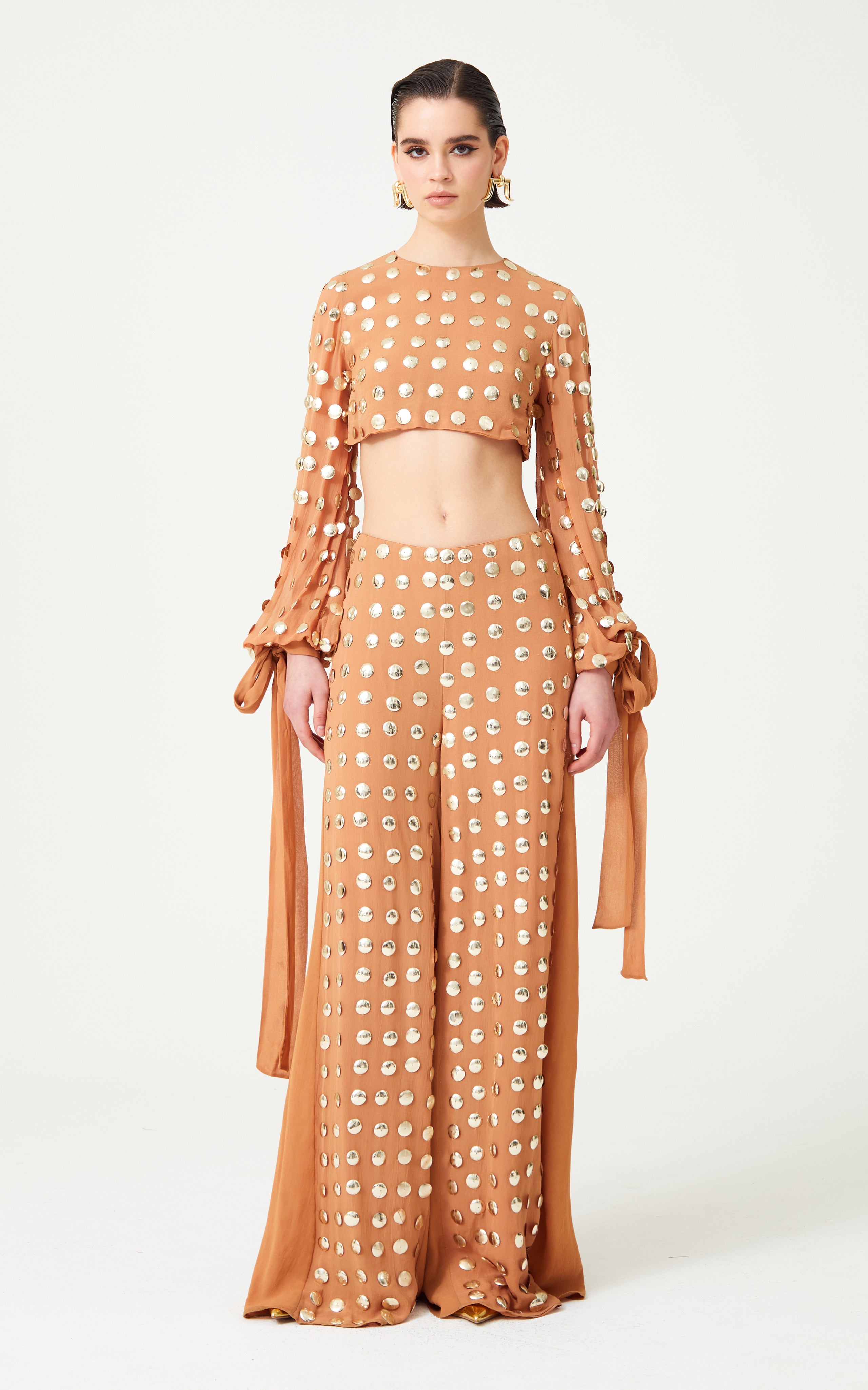 FW24-T-1005-Beige-34 raisa_vanessa beige-handmade-gold-polka-dot-detailed-silk-chiffon-crop-top-with-long-sleeves