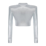 Metallic Knitted Top