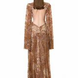 Beige Velvet Flare Sleeved Gown With Chiffon Print And Mirror Embellishment