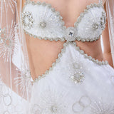 Crystal Emboridered Tulle Cut Out Gown With Crystal Stoned Borders