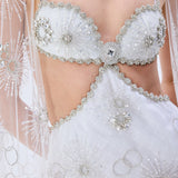 Crystal Emboridered Tulle Cut Out Gown With Crystal Stoned Borders And Tulle Cape With Crystals