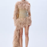Baguette Crystal Striped Tulle One Shouldered Mini Dress With Feathers