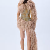 Baguette Crystal Striped Tulle One Shouldered Mini Dress With Feathers