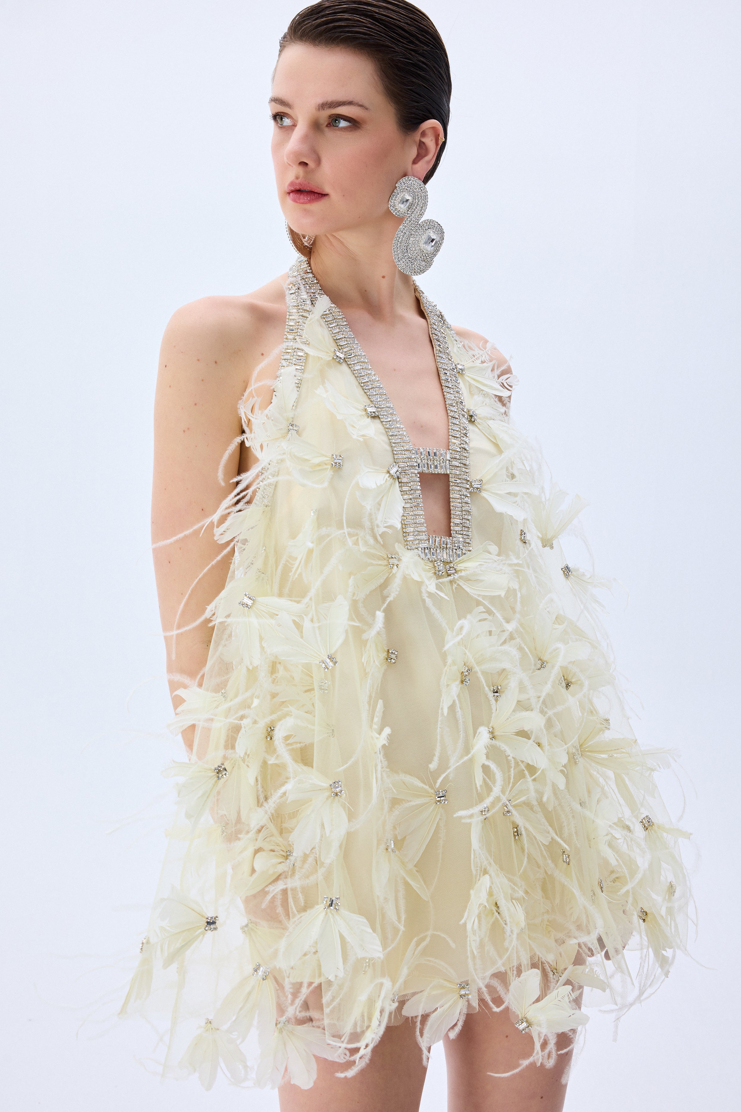 HC25-D-1021-Ivory-38 raisa_vanessa mini-tulle-ivory-dress-with-crystal-feather-flowers-and-crystal-bordered-neckline