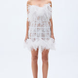 White Guipure Skeletal Dress With Hand Embroidered Flowers