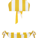 Striped Halter Neck Bikini