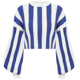 Striped Knit Crop Sweater