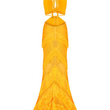 Halter Neck Fringe Maxi Dress with Cutout Details