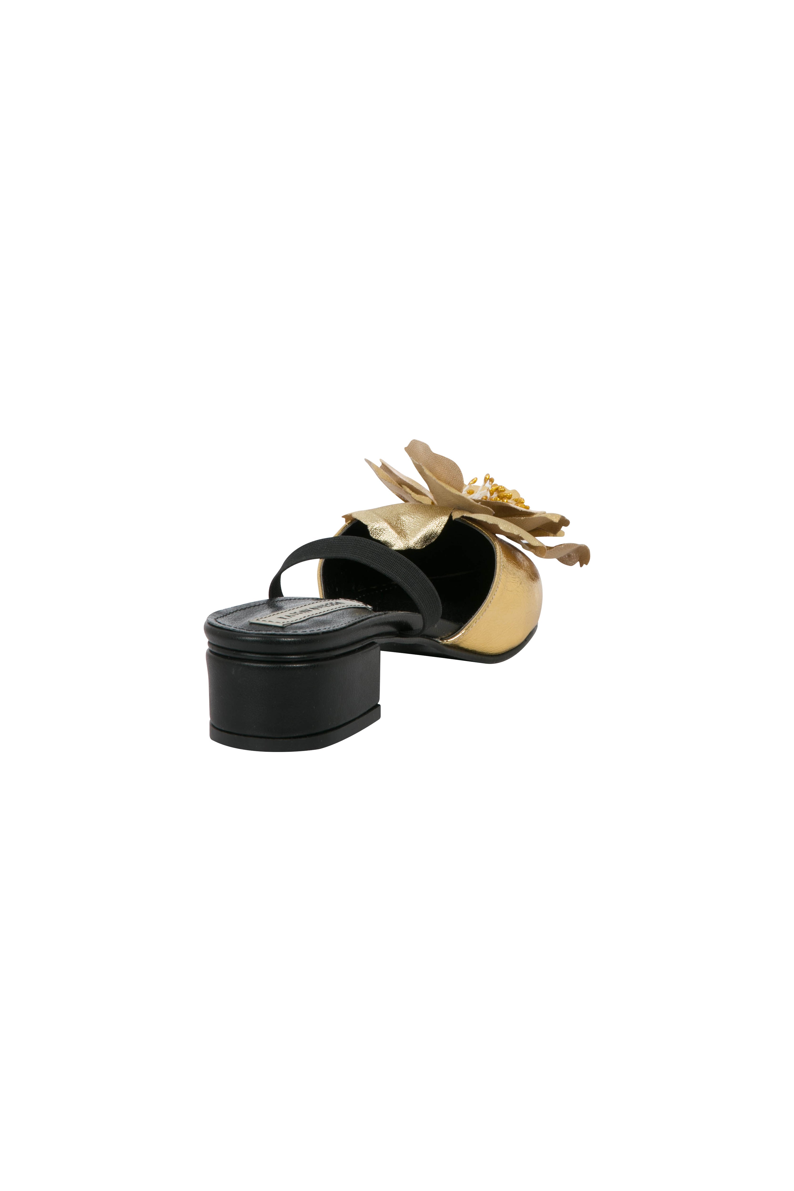 FW24-T-1028-Gold-37 raisa_vanessa kitten-heeled-shoes-1
