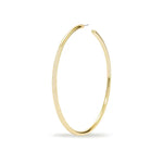 SS26-ACC-1035 raisa_vanessa goldmetal-earrings-1