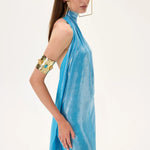 SS26-D-1006-36 raisa_vanessa metallic-jersey-halter-neck-maxi-gown-with-gold-back-accessory