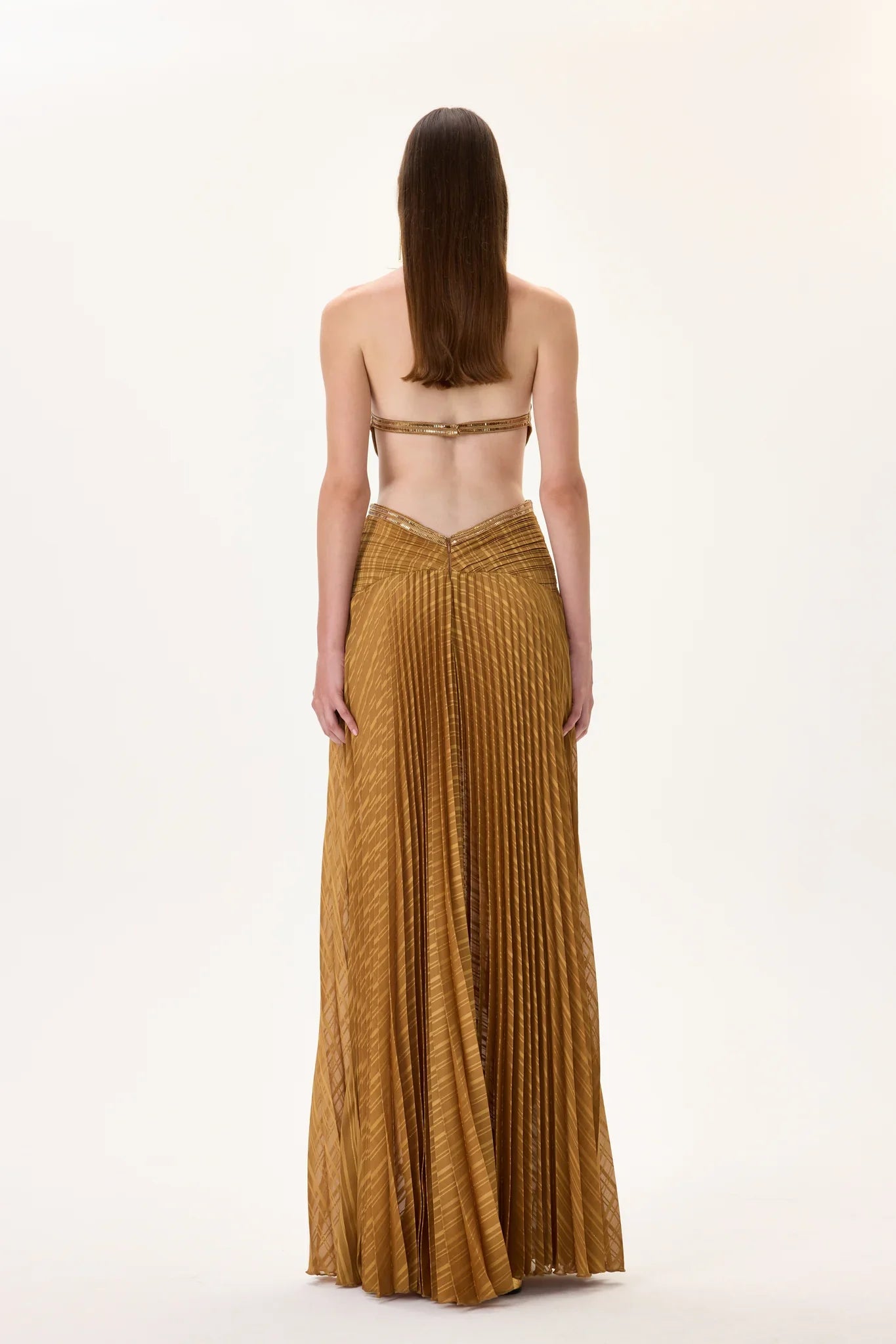 SS26-D-1013-38 raisa_vanessa pleated-chiffon-maxi-dress-with-gold-rhinestone-borders