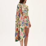 SS26-D-1027-38 raisa_vanessa ecru-pleated-viscose-multi-color-flower-printed-one-shouldered-mini-dress-with-gold-foil-accents