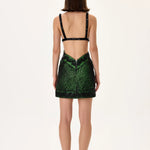 SS26-D-1048-38 raisa_vanessa beaded-net-green-mini-dress-with-black-fully-beaded-bra-and-leaf-motive-strips