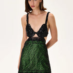 SS26-D-1048-40 raisa_vanessa beaded-net-green-mini-dress-with-black-fully-beaded-bra-and-leaf-motive-strips