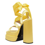 Strappy High Heeled Shoes