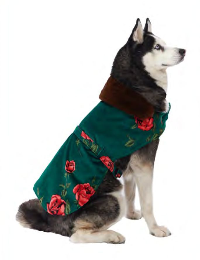 FW22-ACS-957-GR raisa_vanessa velvet-rose-patterned-dog-suit-with-faux-fur-detail